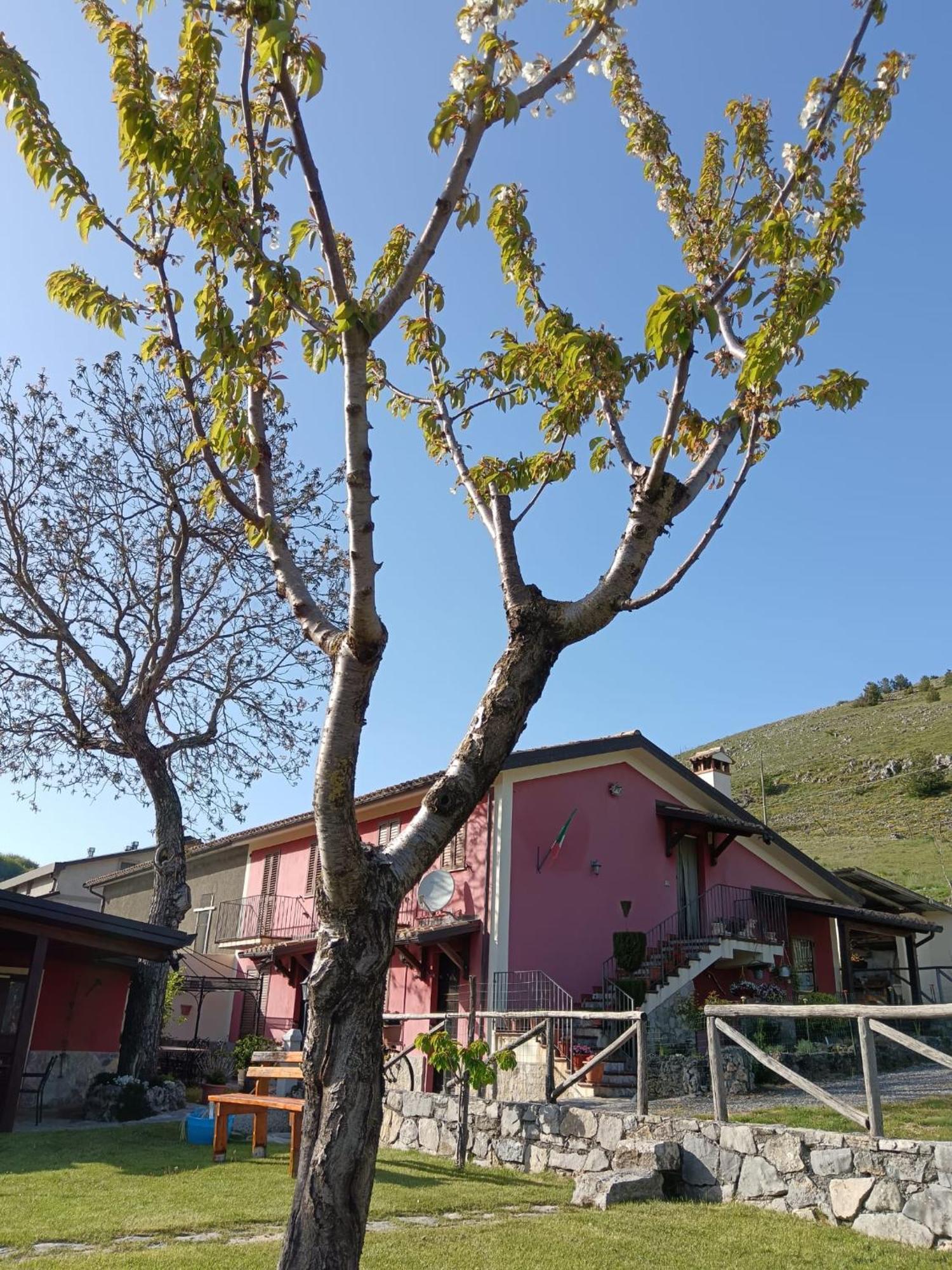 Agriturismo Casa Della Nonna Mormanno Luaran gambar