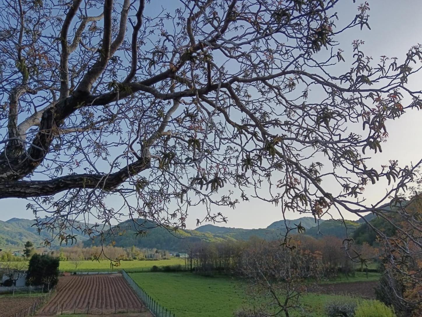 Agriturismo Casa Della Nonna Mormanno Luaran gambar