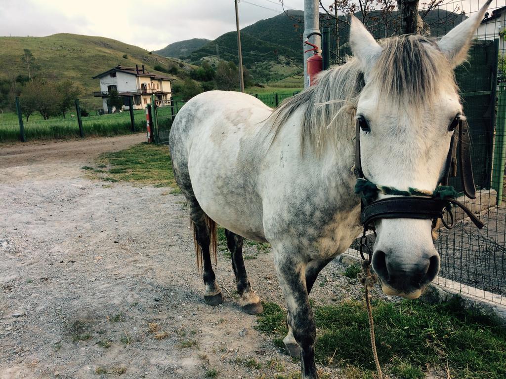 Agriturismo Casa Della Nonna Mormanno Luaran gambar